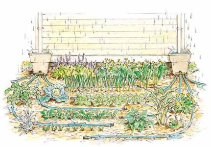 Rainwater Harvesting: A Better System Image